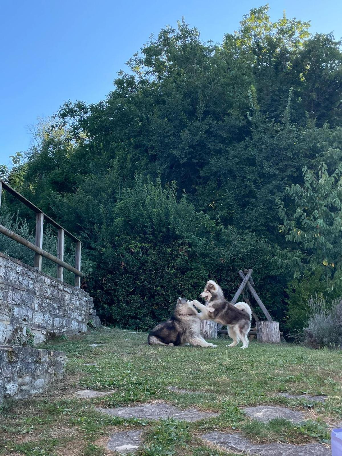 Maison En Pierre Fiastra Kültér fotó