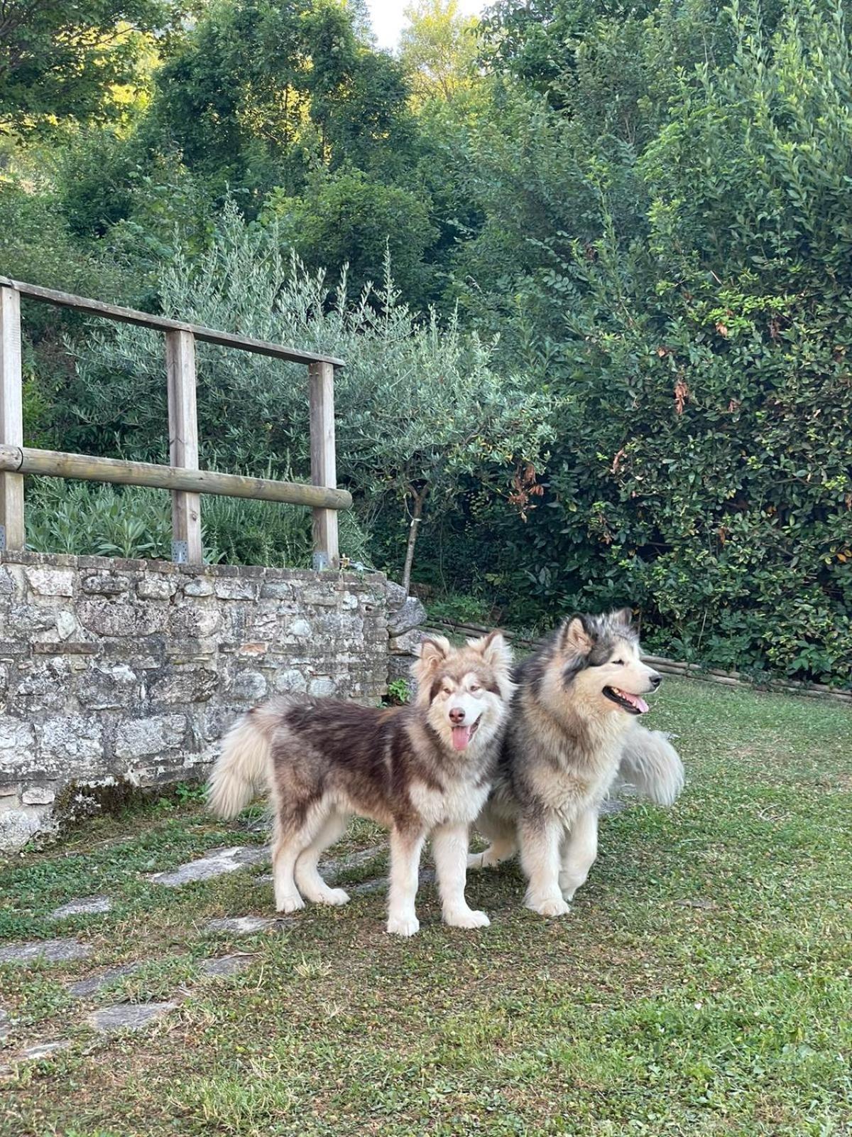 Maison En Pierre Fiastra Kültér fotó