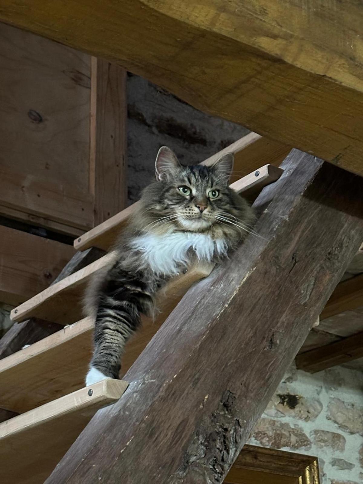 Maison En Pierre Fiastra Kültér fotó